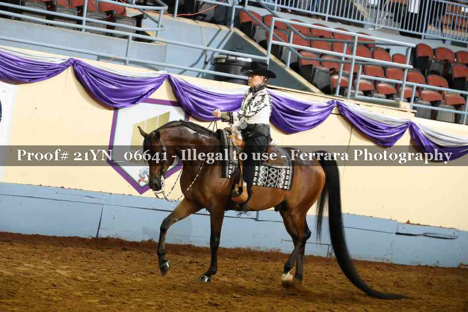 Proof 21YN_06641