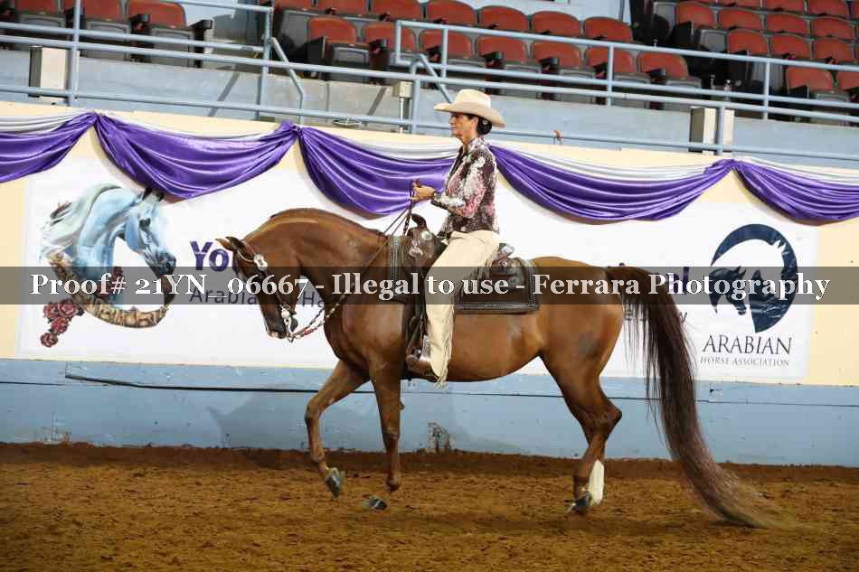 Proof 21YN_06667