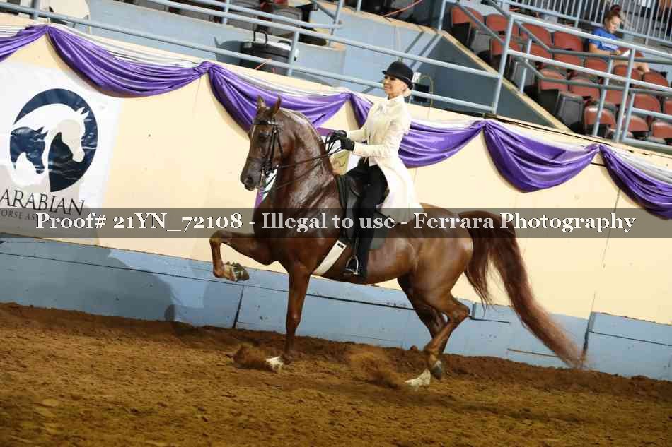Proof 21YN_72108