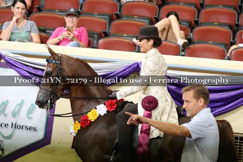 Proof 21YN_72179