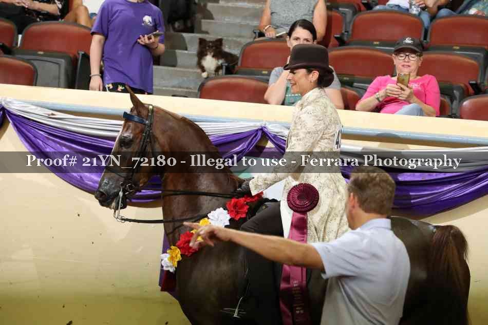 Proof 21YN_72180