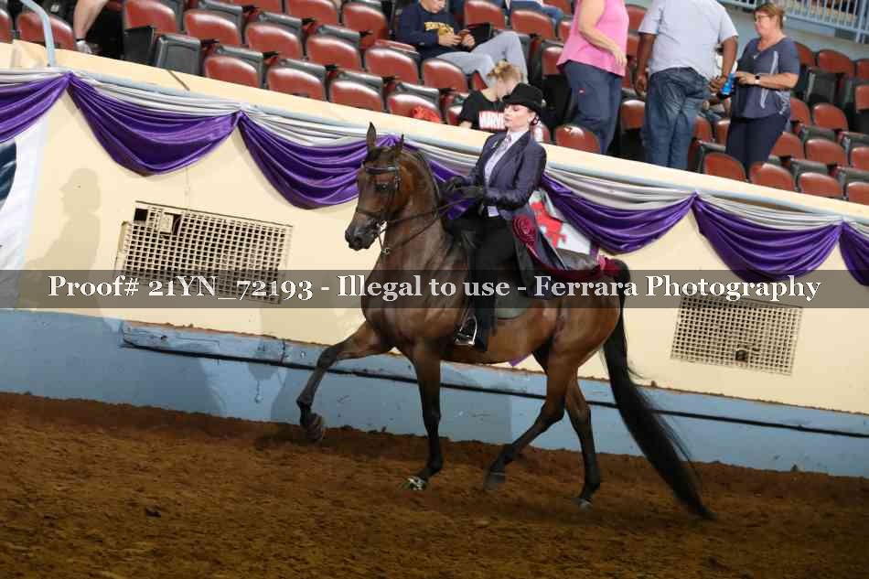 Proof 21YN_72193