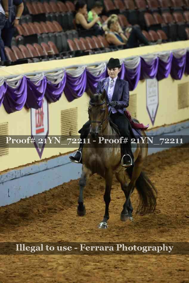 Proof 21YN_72211