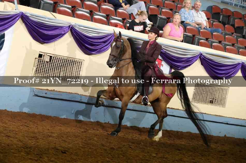 Proof 21YN_72219