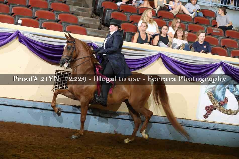 Proof 21YN_72229