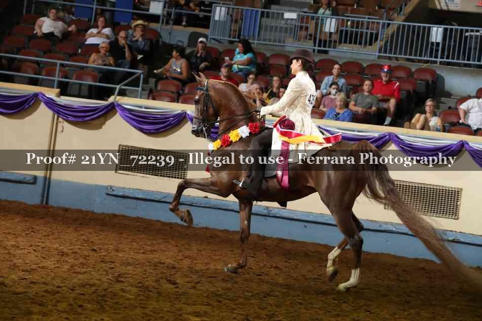 Proof 21YN_72239