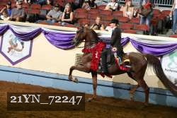 21YN_72247 proof