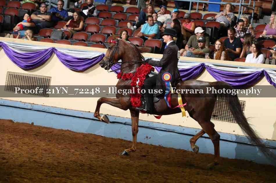 Proof 21YN_72248
