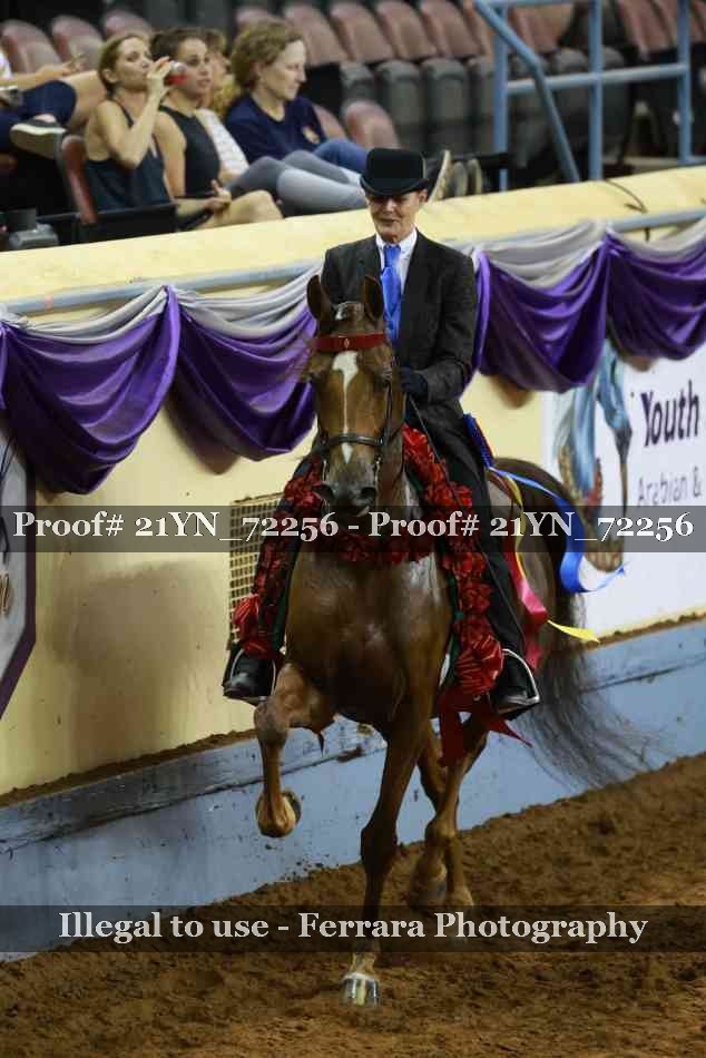 Proof 21YN_72256