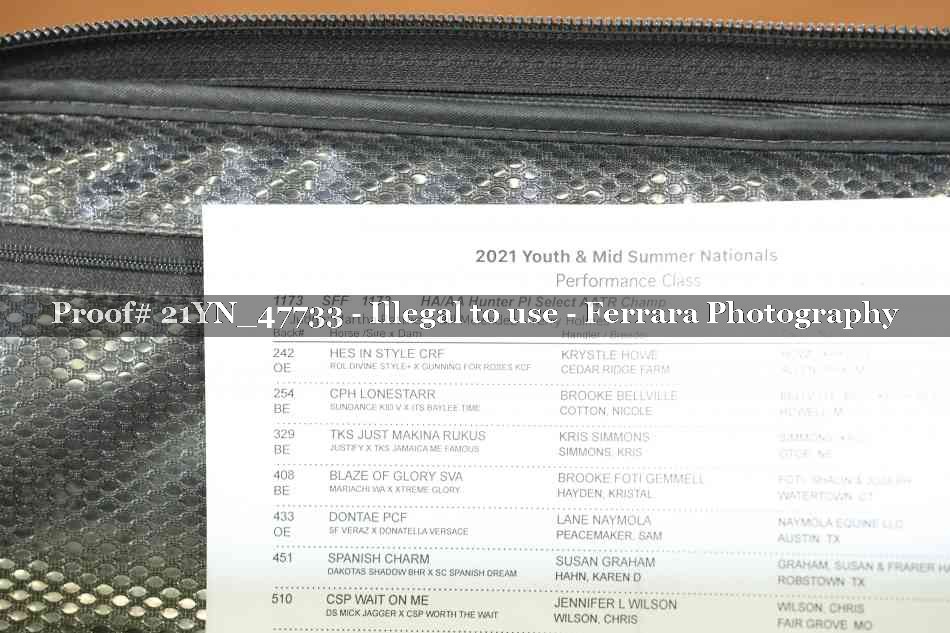 Proof 21YN_47733
