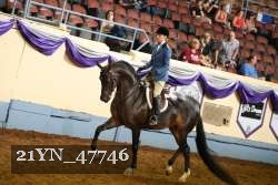 21YN_47746 proof
