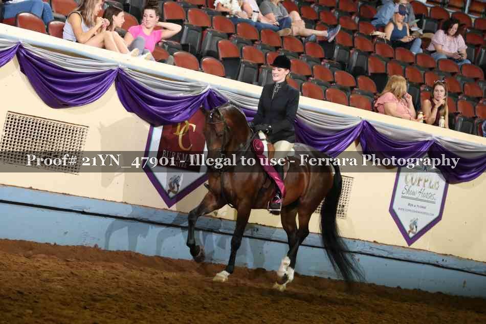 Proof 21YN_47901