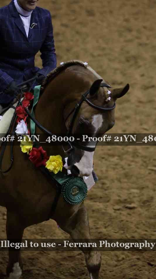 Proof 21YN_48000