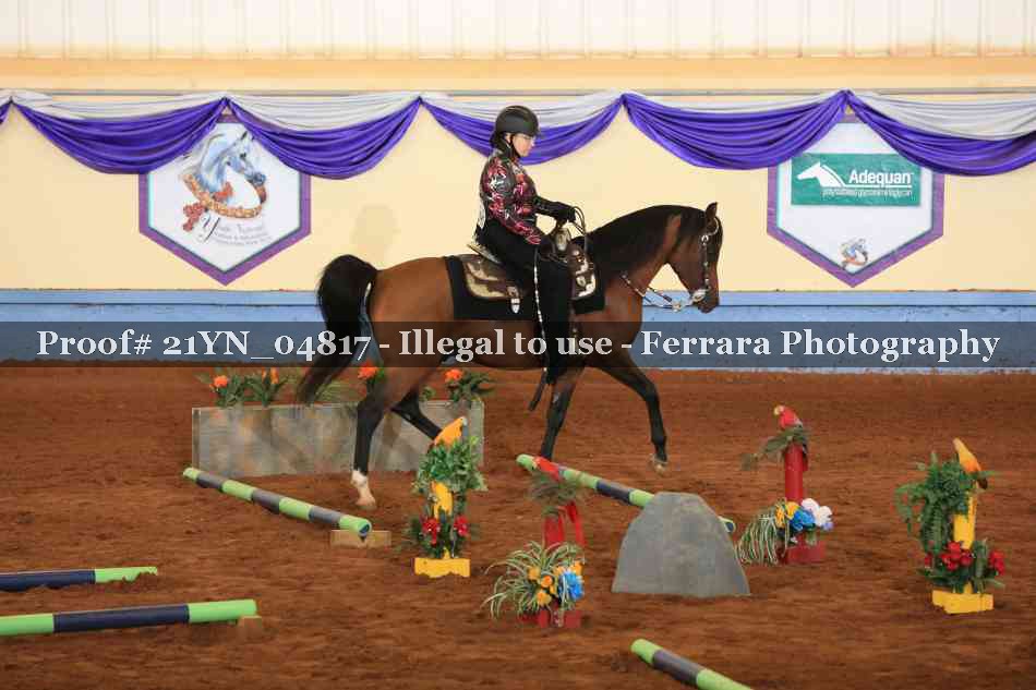 Proof 21YN_04817