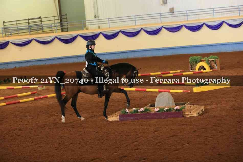 Proof 21YN_20740