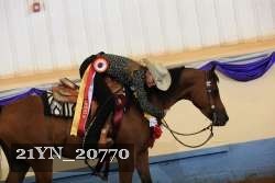 21YN_20770 proof