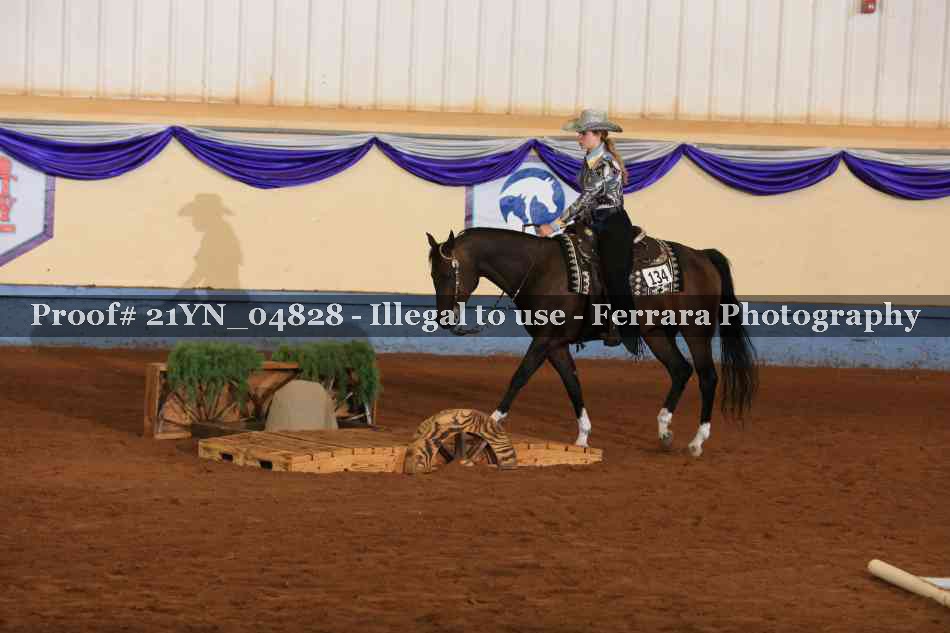 Proof 21YN_04828