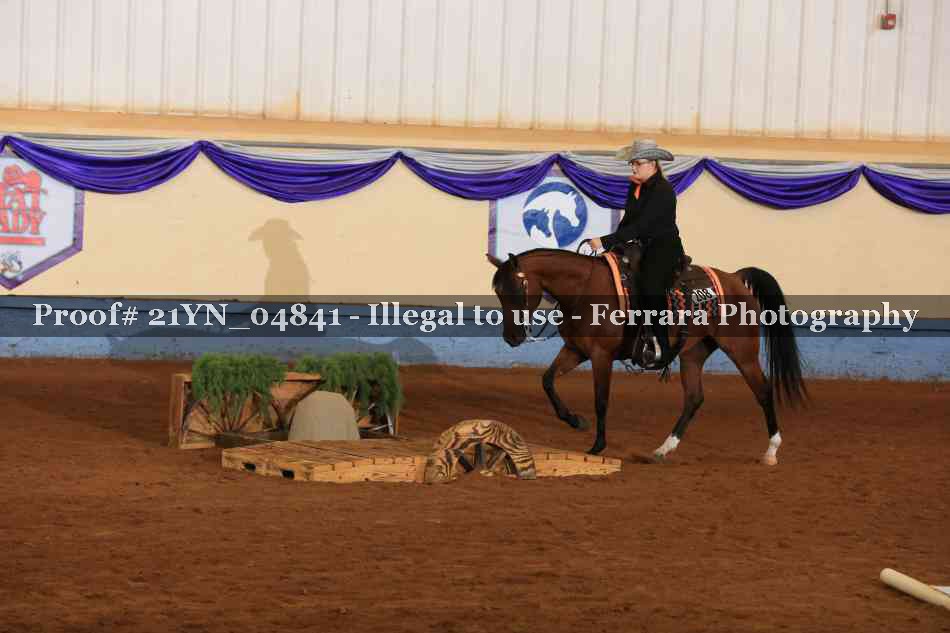 Proof 21YN_04841