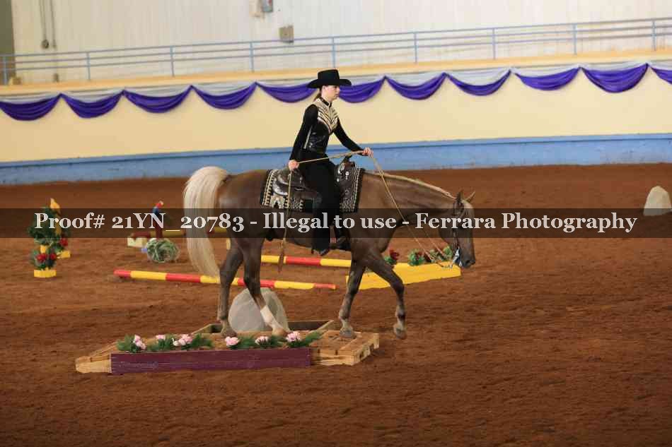 Proof 21YN_20783