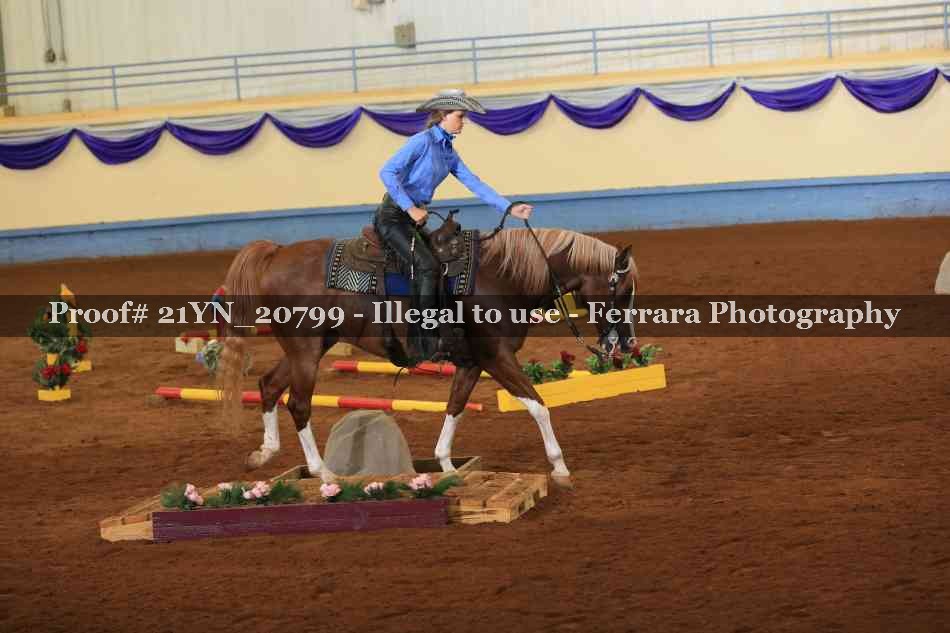 Proof 21YN_20799