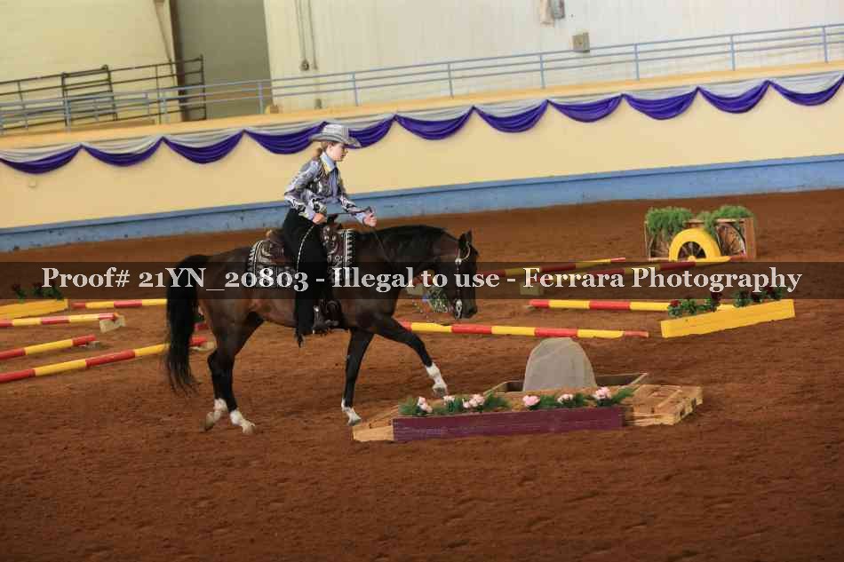 Proof 21YN_20803
