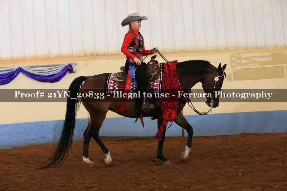 Proof 21YN_20833