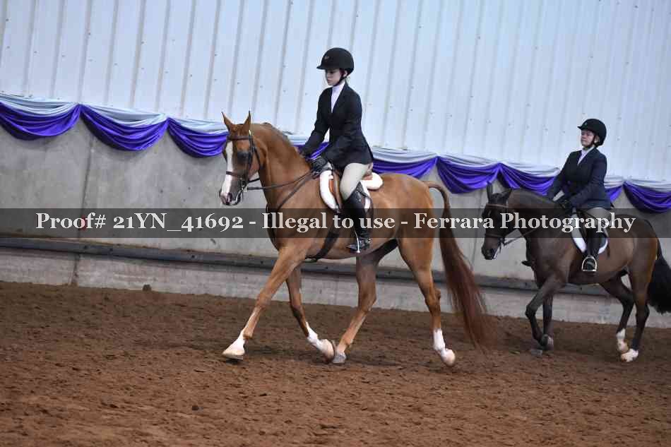 Proof 21YN_41692