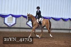 21YN_41713 proof