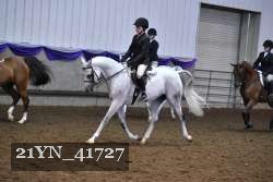 21YN_41727 proof