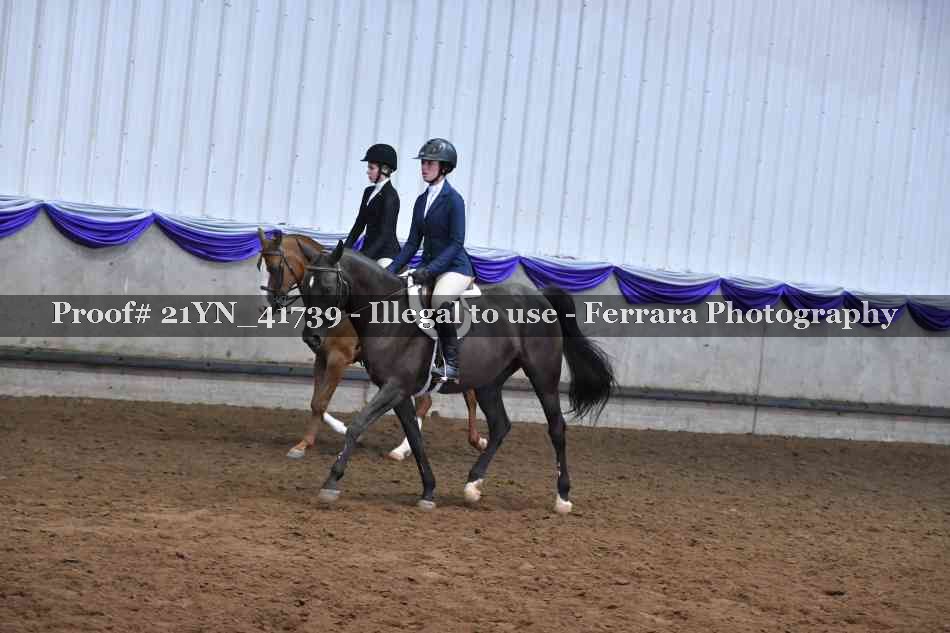 Proof 21YN_41739
