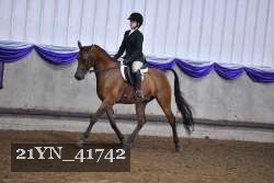 21YN_41742 proof