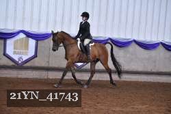 21YN_41743 proof