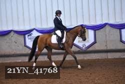 21YN_41768 proof
