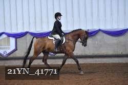 21YN_41771 proof
