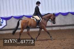 21YN_41773 proof