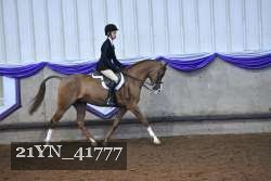 21YN_41777 proof