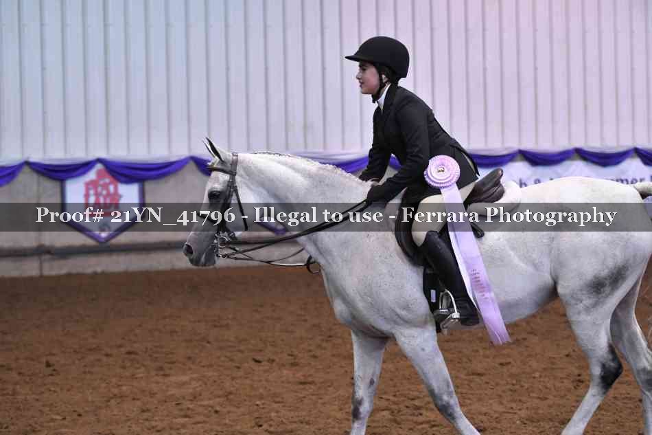 Proof 21YN_41796