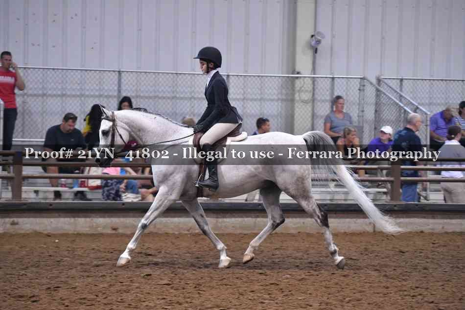 Proof 21YN_41802