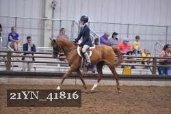 21YN_41816 proof