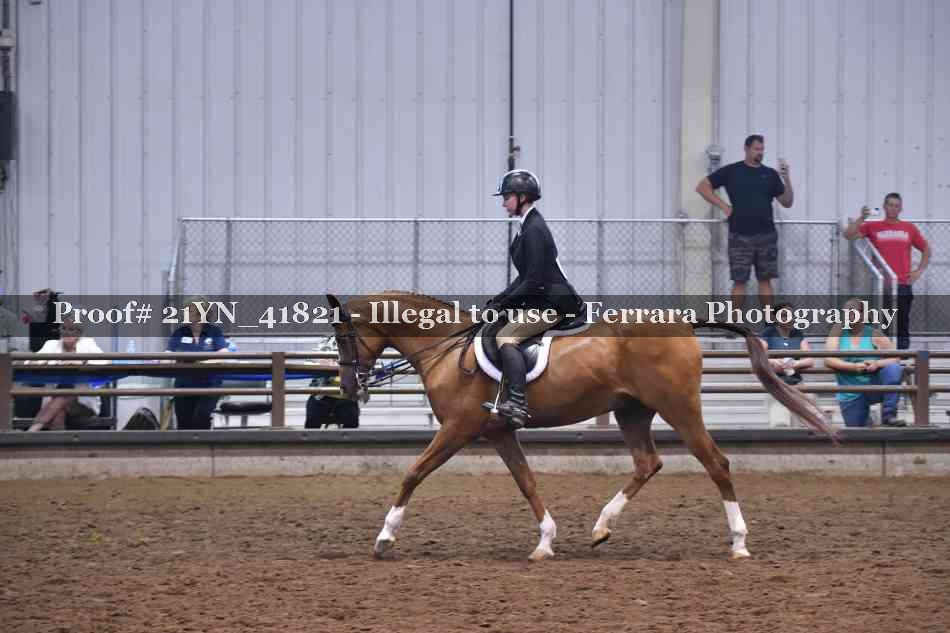 Proof 21YN_41821