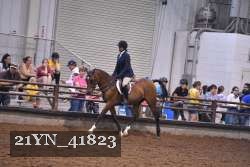 21YN_41823 proof