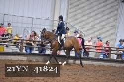 21YN_41824 proof