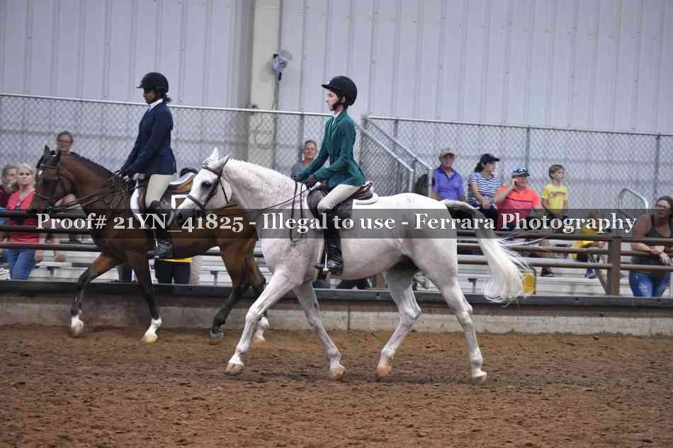 Proof 21YN_41825