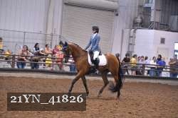 21YN_41826 proof