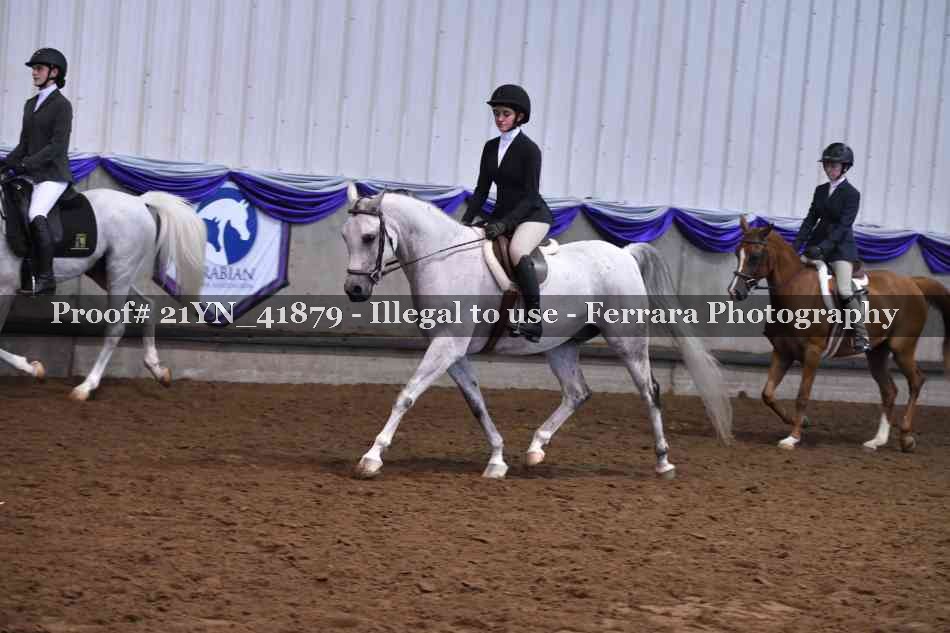 Proof 21YN_41879