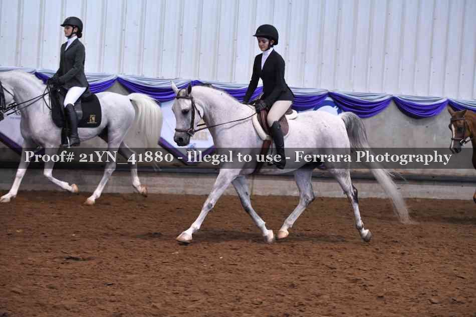 Proof 21YN_41880