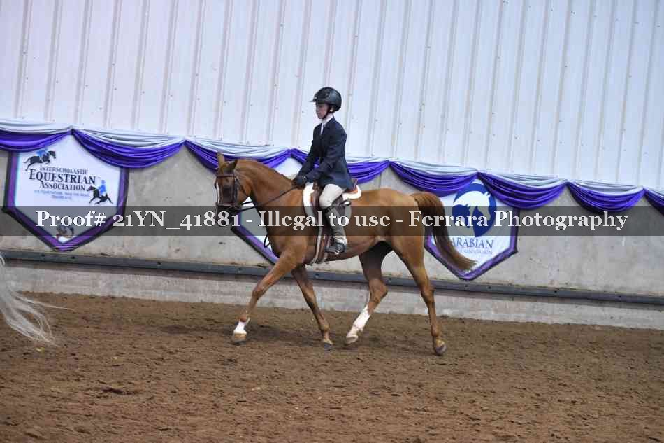 Proof 21YN_41881
