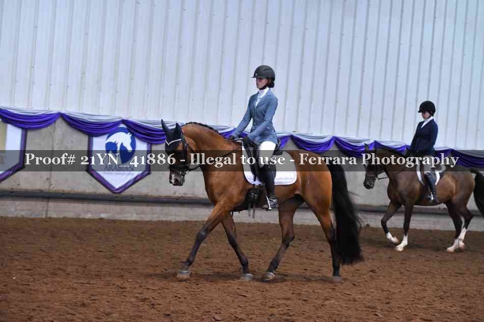 Proof 21YN_41886