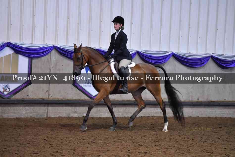 Proof 21YN_41890