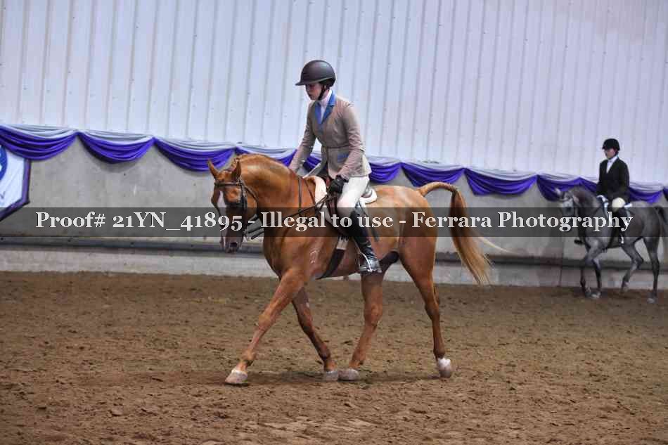 Proof 21YN_41895